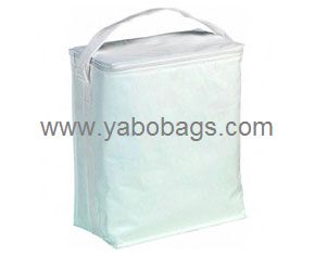 Best Promotional Cooler Bag