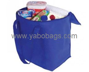 Leisure Tote Cooler Bag