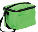 Best Non-Woven Cooler Bag