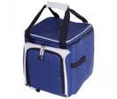 Fashion Tote Cooler Bag