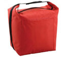 Large Tote Cooler Bag